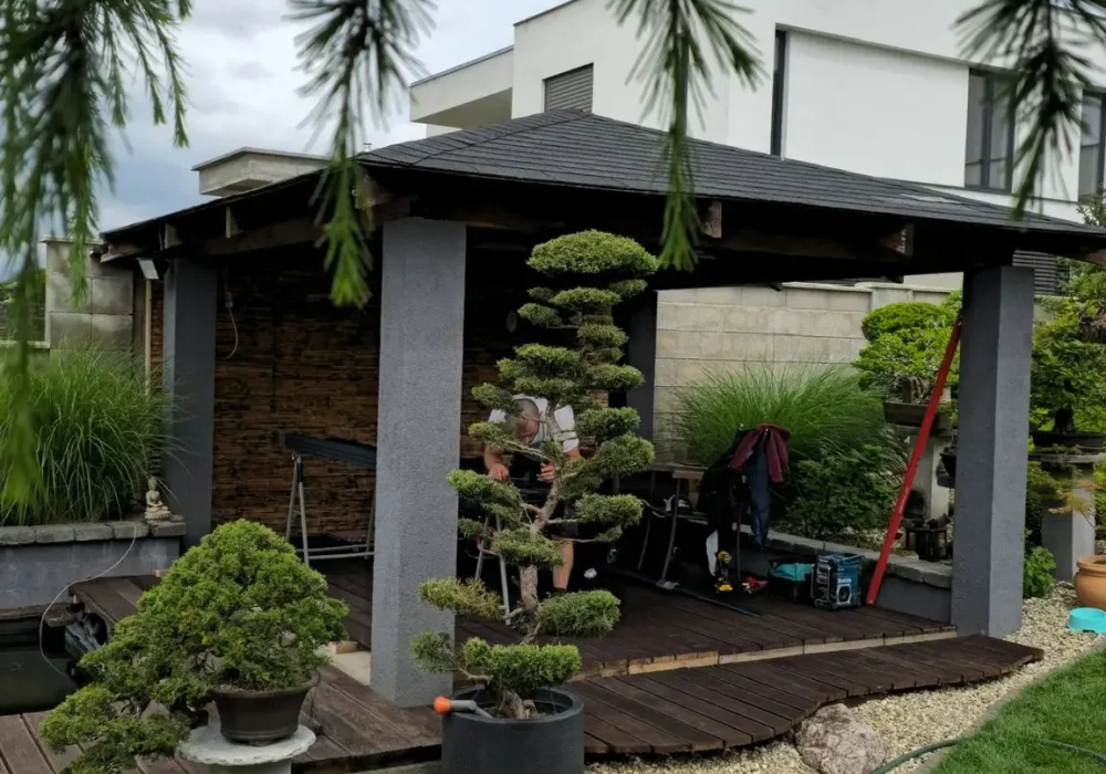 Pergola 125 Pergola 125